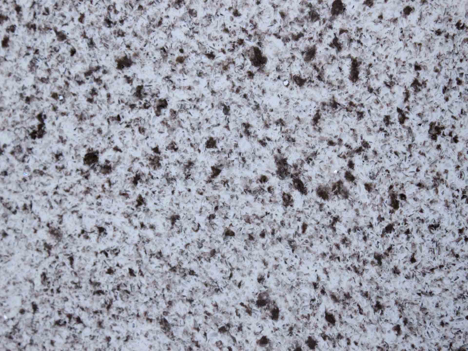 Quartz Countertop - Coffee